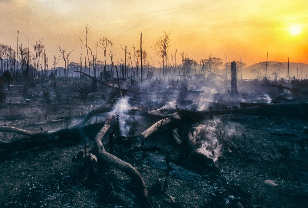 Deforestation in the Brazilian Amazon, by Brasil2