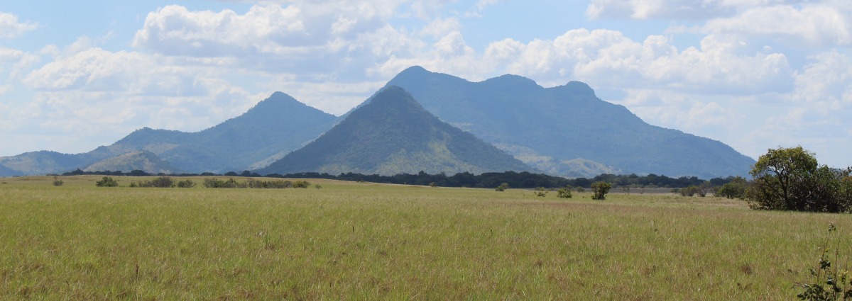 Foothills of the Kanuku Mountains photo courtesy of Conservation International