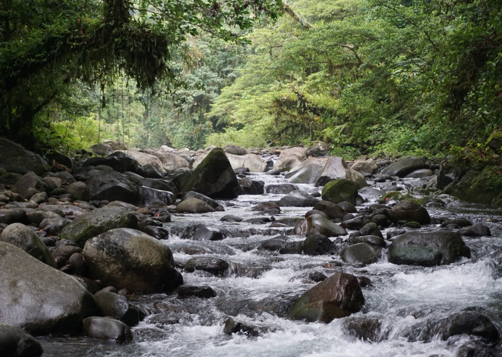 Vila River, Solomon Islands, by Stacy Jupiter