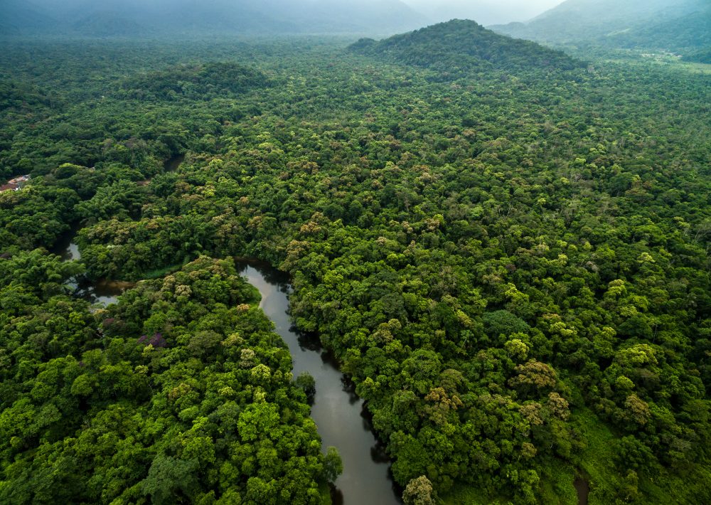 tree covered hills