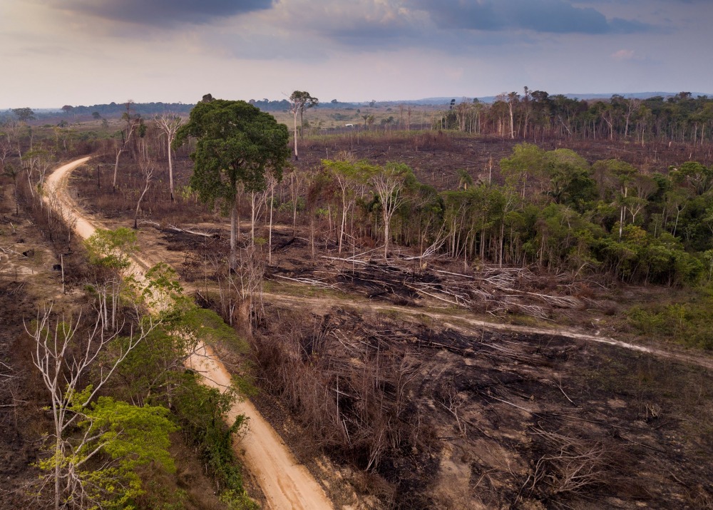 Deforestation in Brazil, by Paralaxis