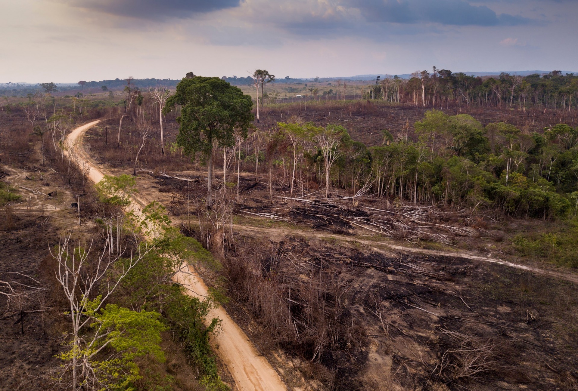 Crude Reflections / Cruda Realidad: Oil, Ruin and Resistance in the   Rainforest