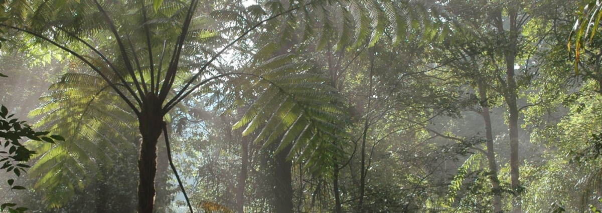 West Java Halimum National Park