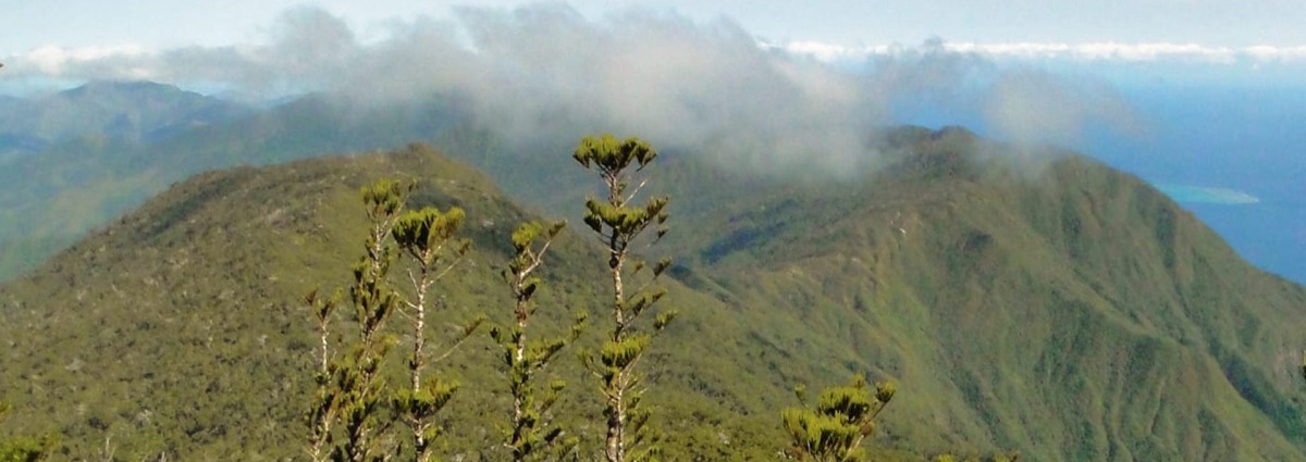 Landscape view in New Caledonia