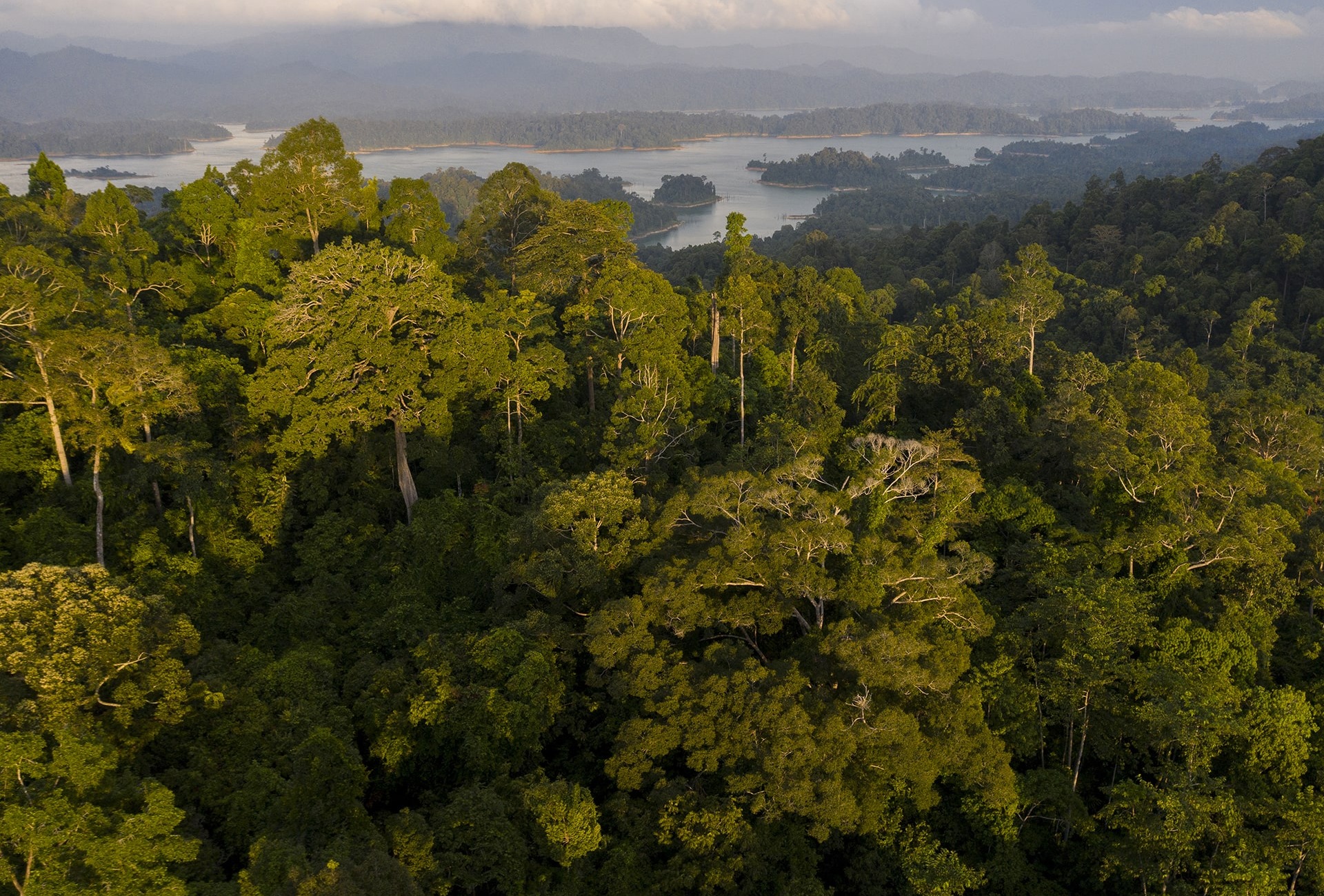 Kenyir State Park landscape