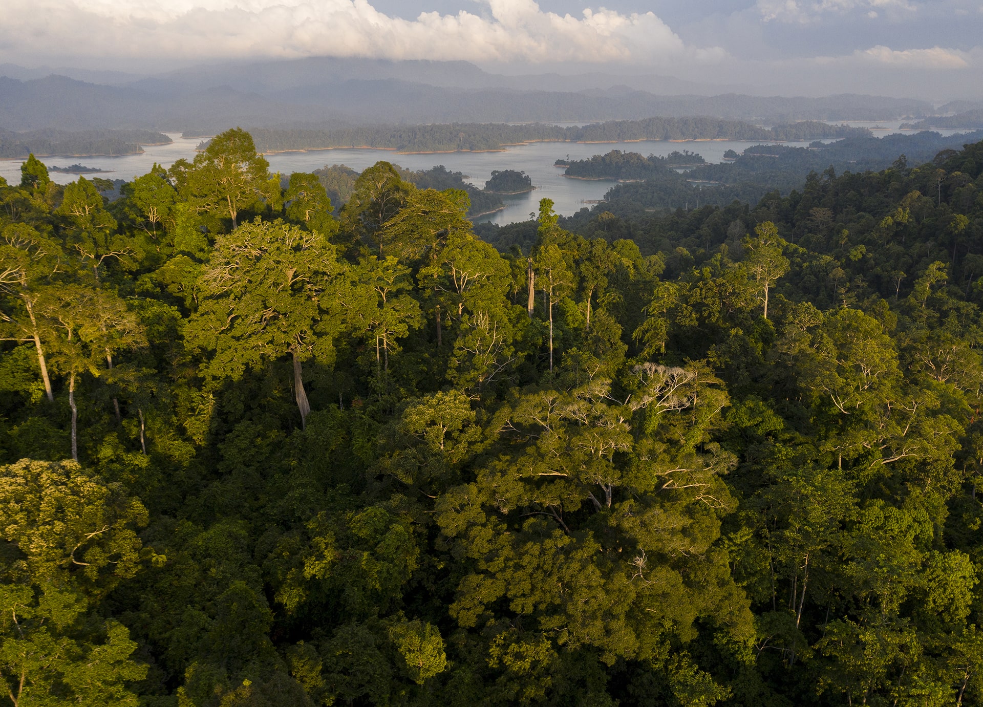 Protecting Our Planet Challenge – Rainforest Trust