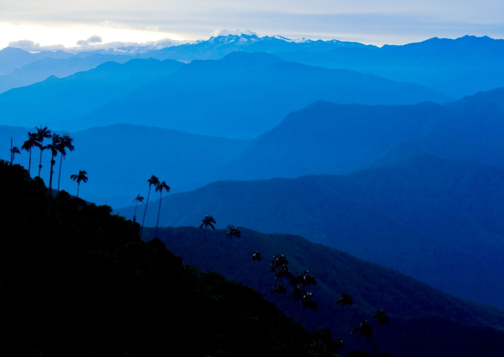 The landscape of El Dorado, Colombia