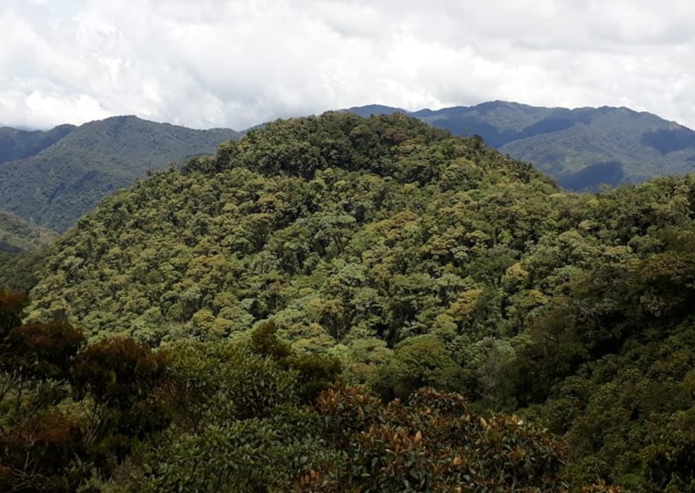 La Montaña Urbano Buitrago, courtesy of FCV