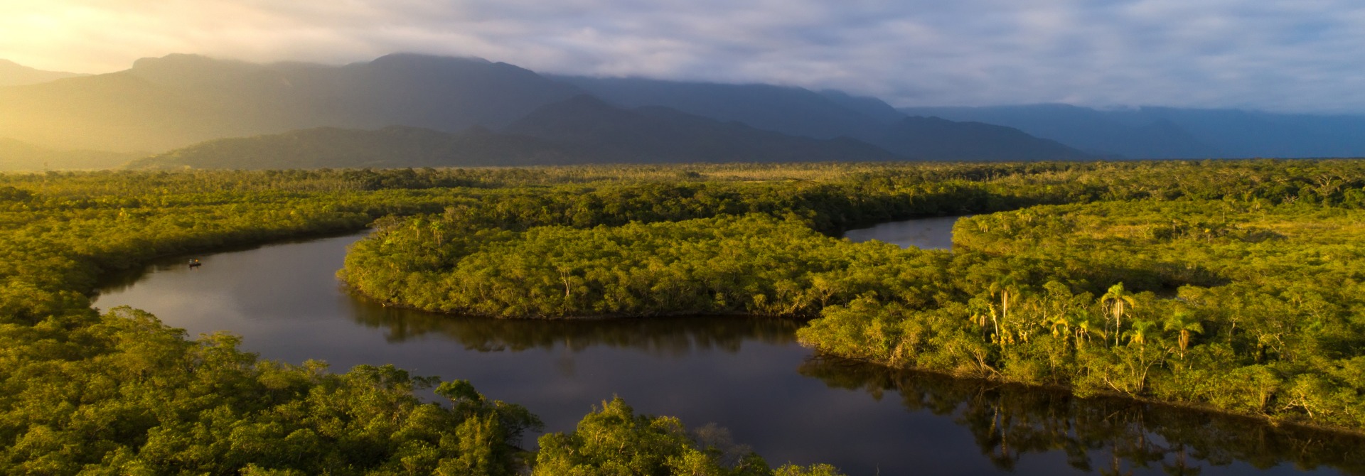 The Brazilian Amazon rainforest