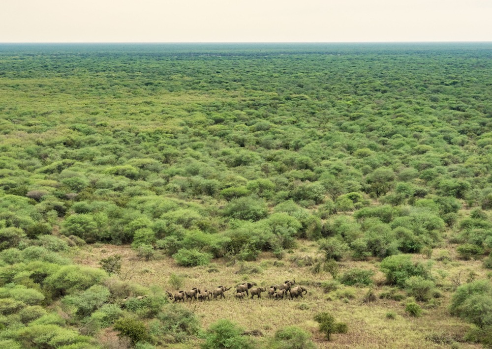 The landscape of Boma and Badingilo National Parks, South Sudan, courtesy African Parks/© Marcus Westberg