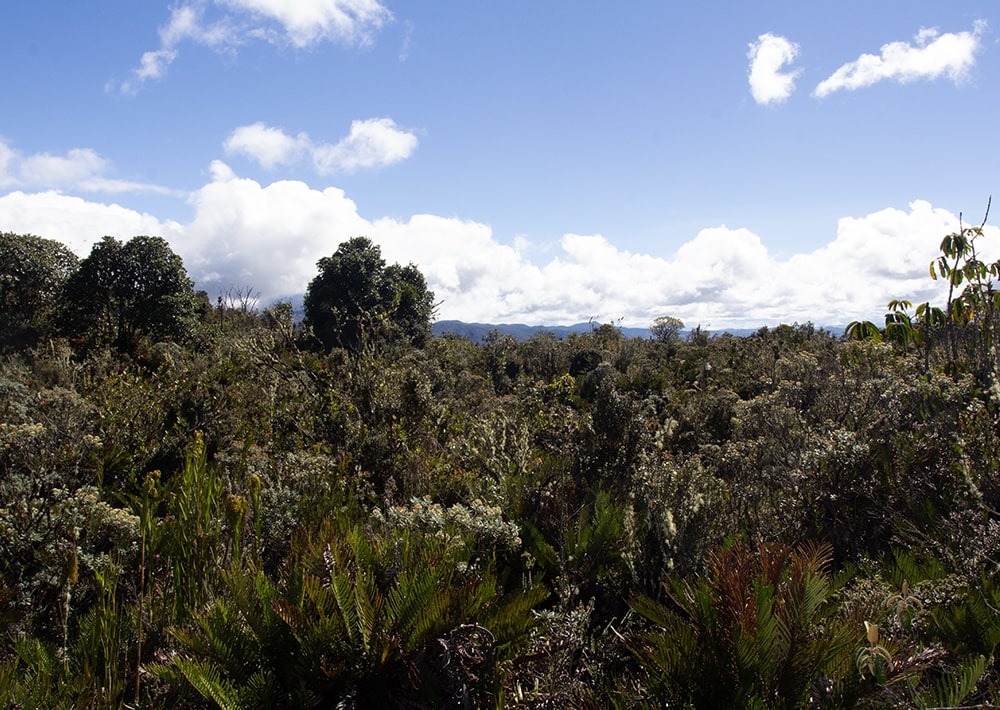 The landscape of the Cerro Negro project site in Colombia, by Fundación Suyusama