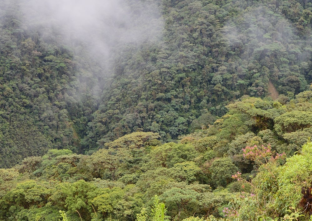 The landscape of the Cerro Negro project site in Colombia, by Fundación Suyusama