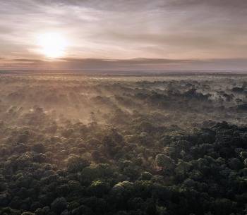 The tropical peatlands of Democratic Republic of the Congo, by Alexis Huguet