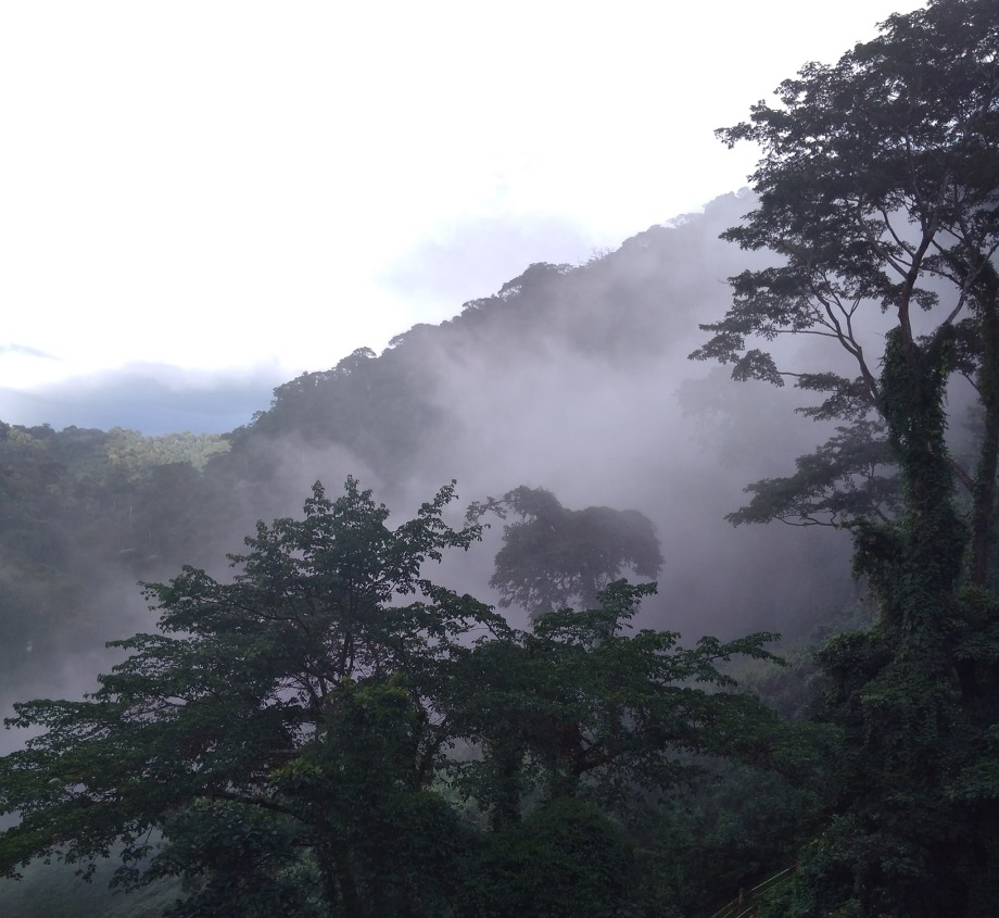 Mount Manengouba, Cameroon, by Junior Verges