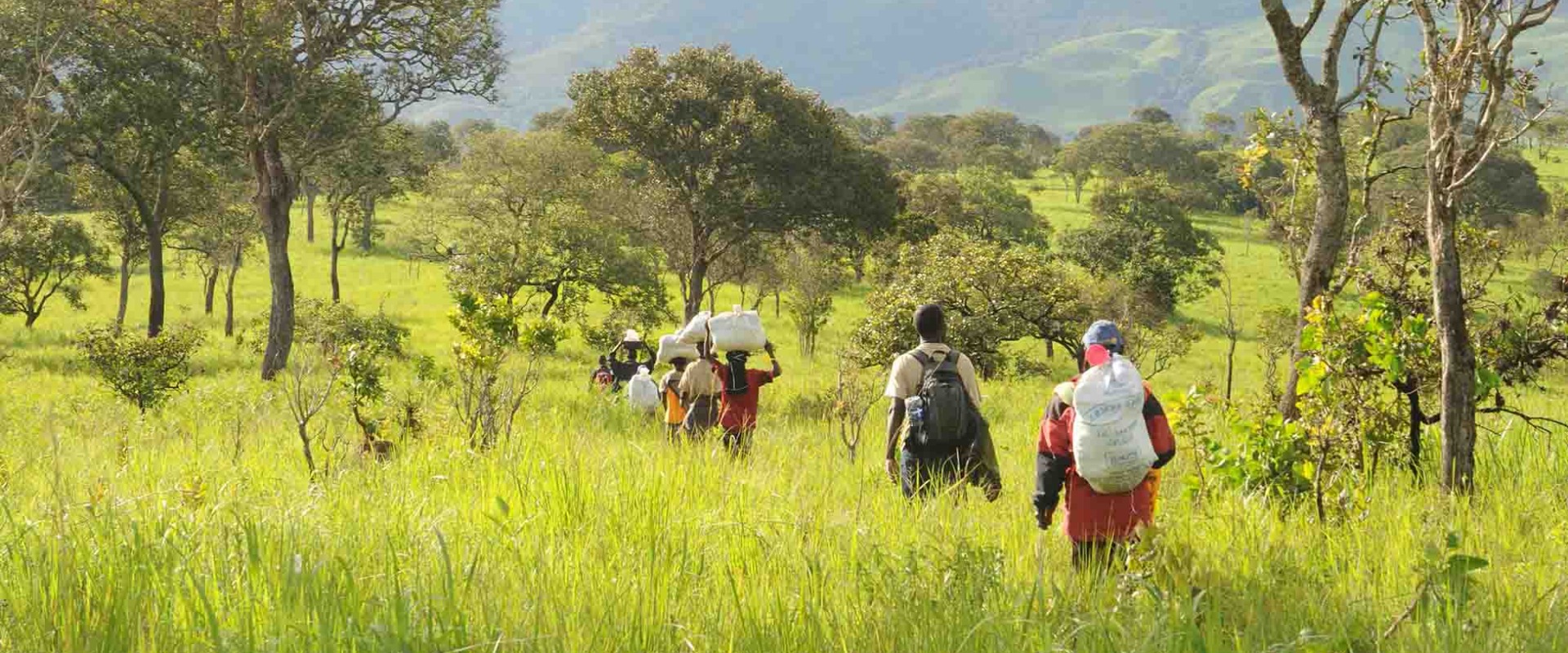 Field team in Luama Katanga Reserve