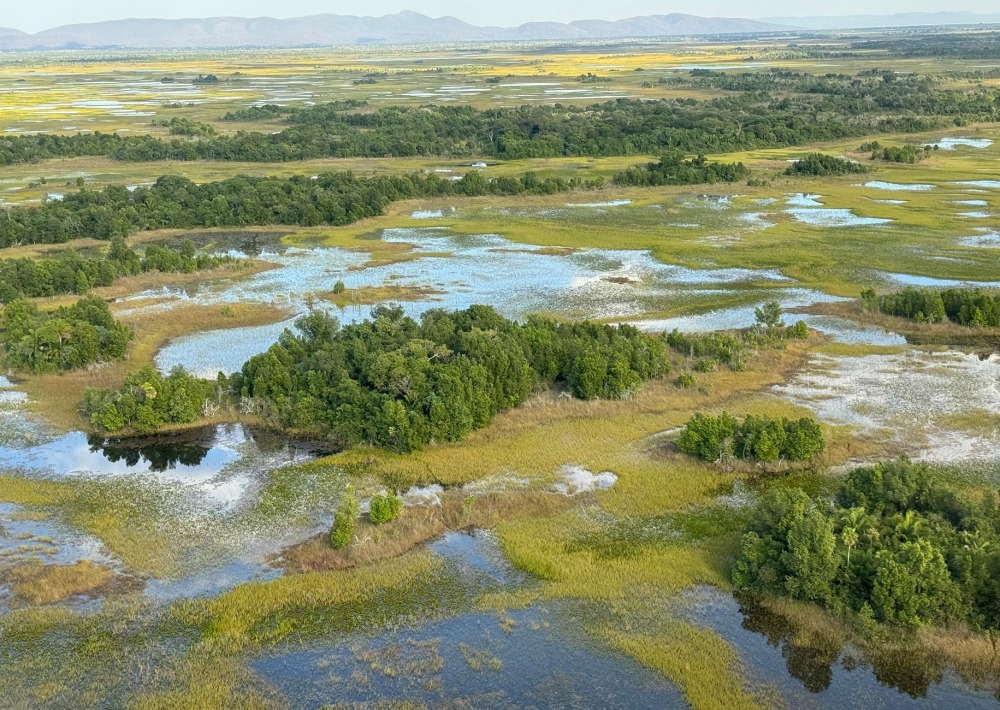 Taquari Wetlands area, courtesy of Onçafari Association