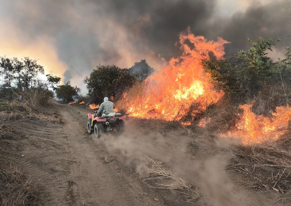 Fires in the Pantanal are destroying the biodiverse wetlands of the Pantanal. Photo courtesy of Onçafari