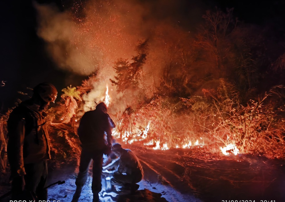 Fires in the Pantanal are destroying the biodiverse wetlands of the Pantanal. Photo courtesy of Onçafari