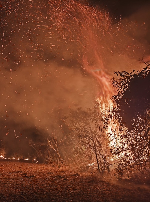 Burning of the Pantanal wetlands, Brazil, courtesy Onçafari/brunocarvalho