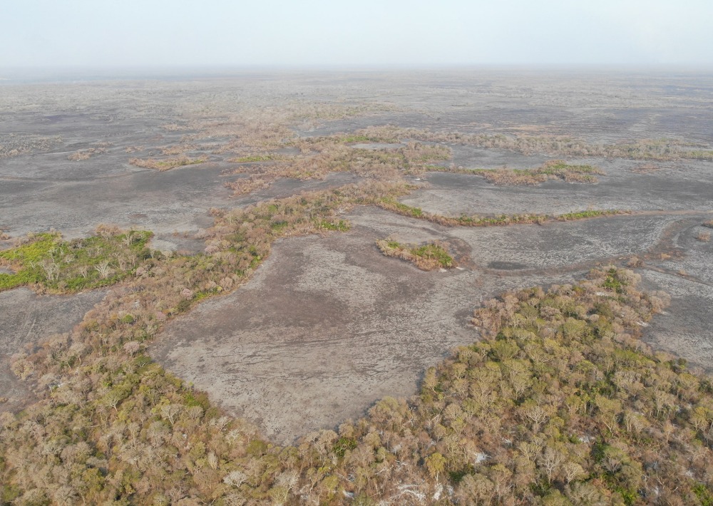 Fires in the Pantanal are destroying the biodiverse wetlands of the Pantanal. Photo courtesy of Onçafari