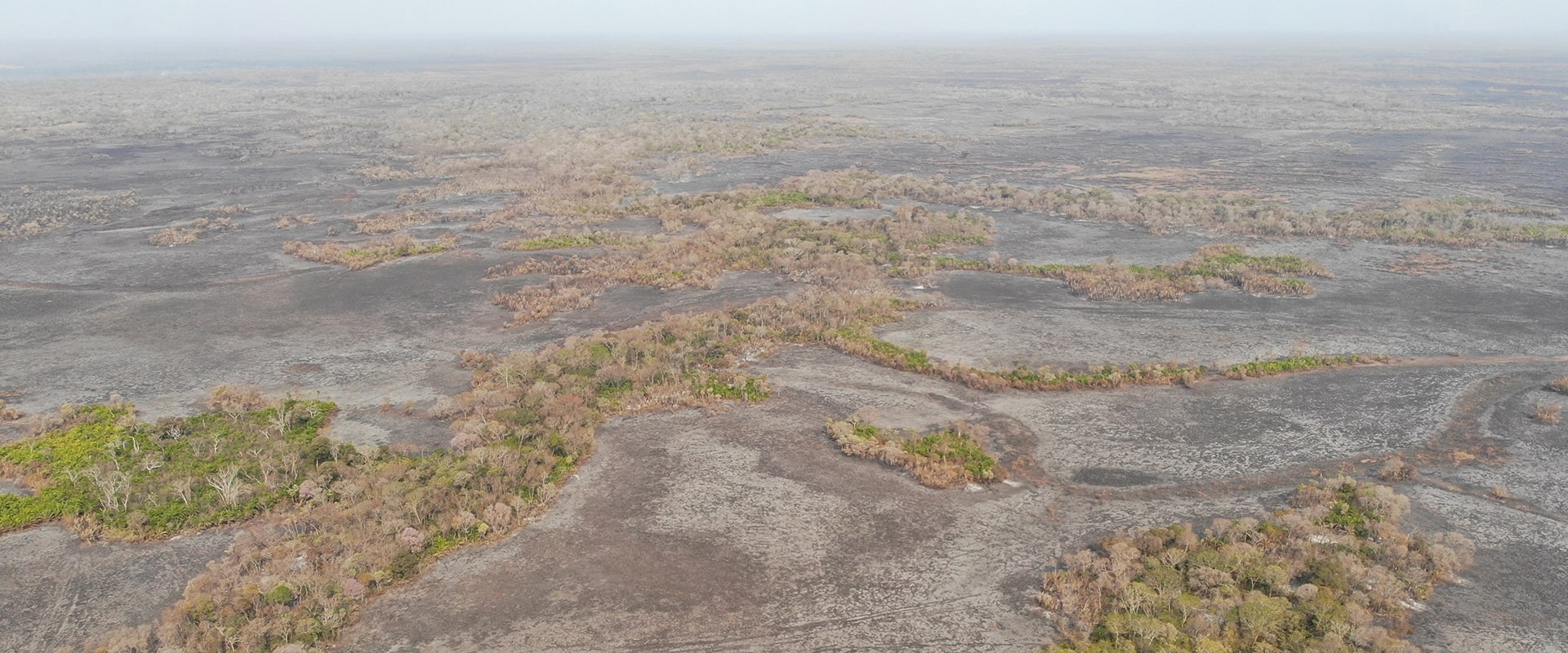 Fires in the Pantanal are destroying the biodiverse wetlands of the Pantanal. Photo courtesy of Onçafari