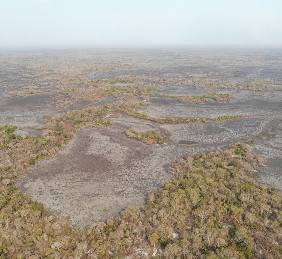 Fires in the Pantanal are destroying the biodiverse wetlands of the Pantanal. Photo courtesy of Onçafari