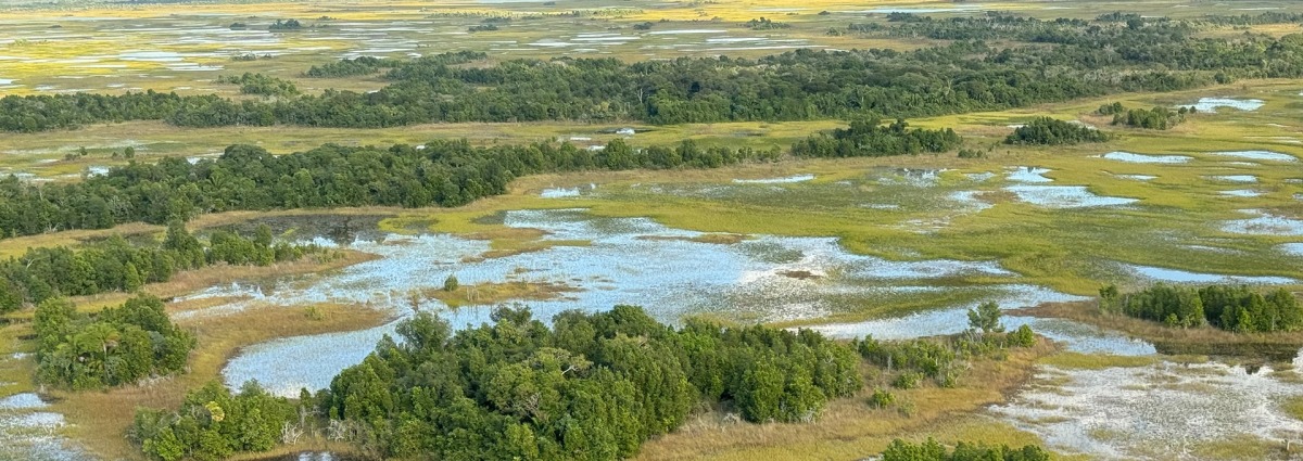 Taquari Wetlands area, courtesy of Onçafari Association