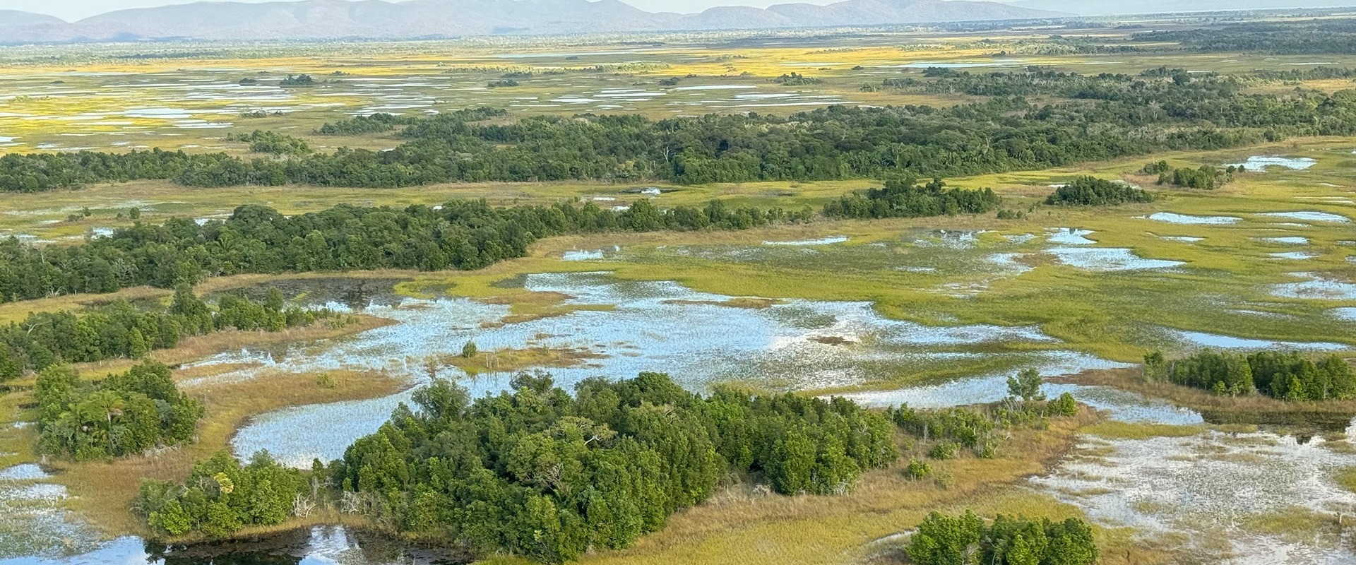 Taquari Wetlands area, courtesy of Onçafari Association