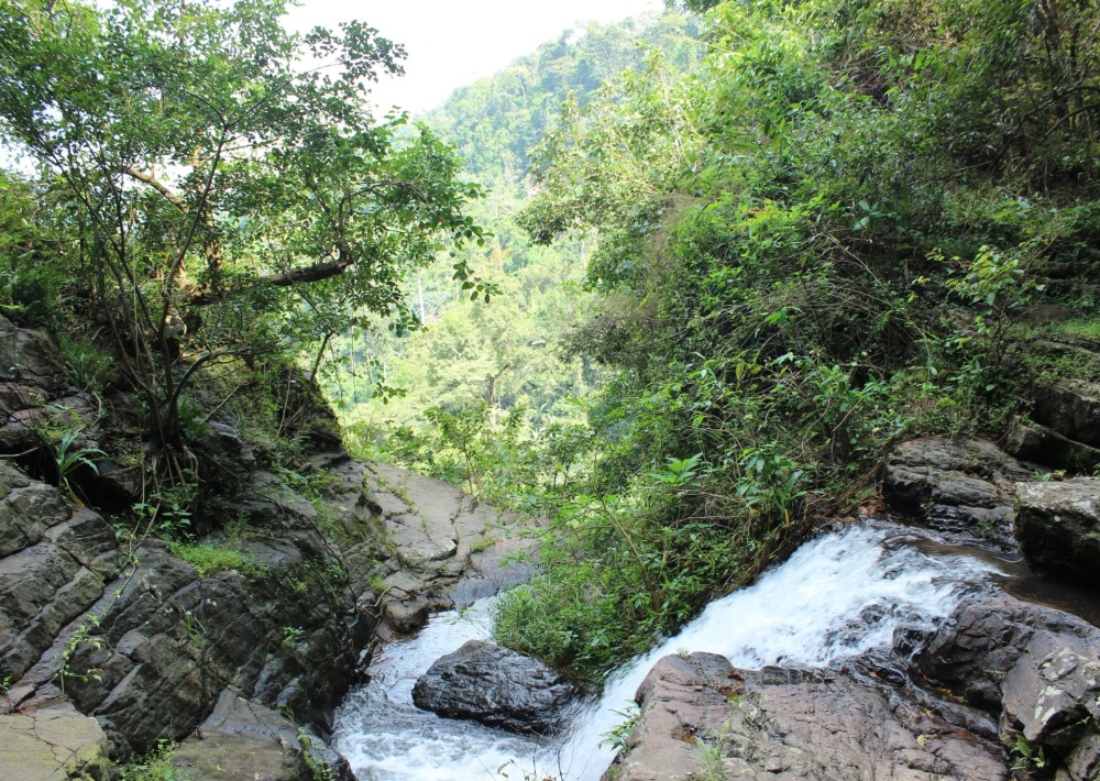 Togo-Volta Highlands, Ghana, courtesy of HERP Conservation-Ghana