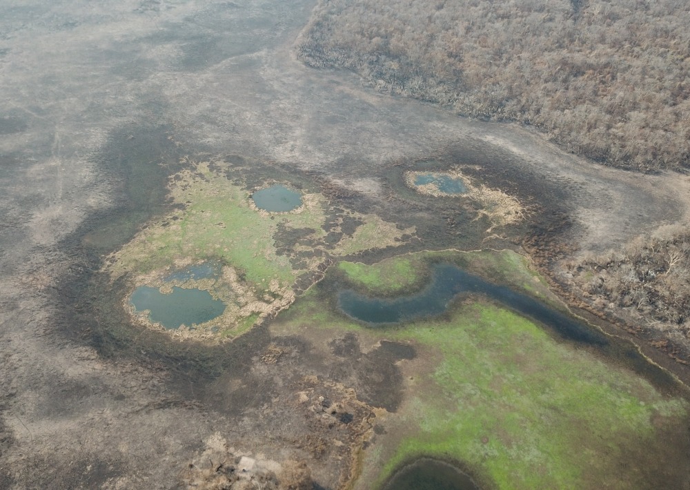 The burned Pantanal landscape, by Mario Nelson/Onçafari