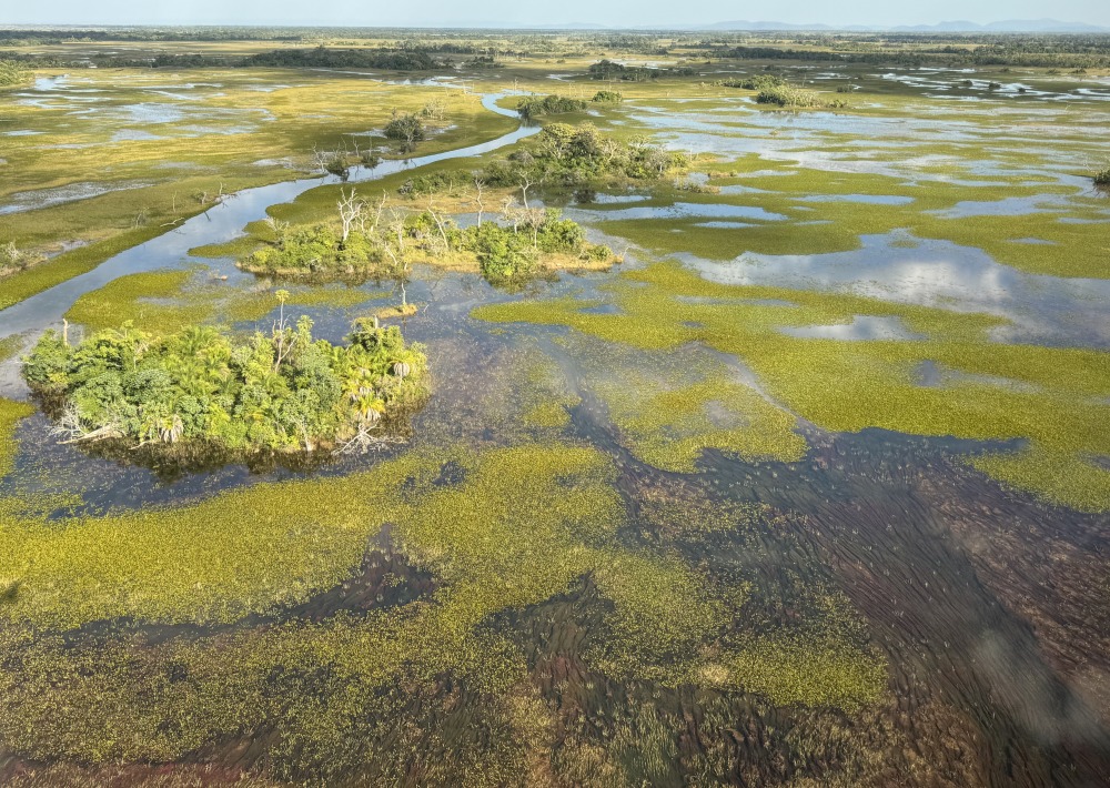 The Taquari Wetlands, courtesy of Onçafari