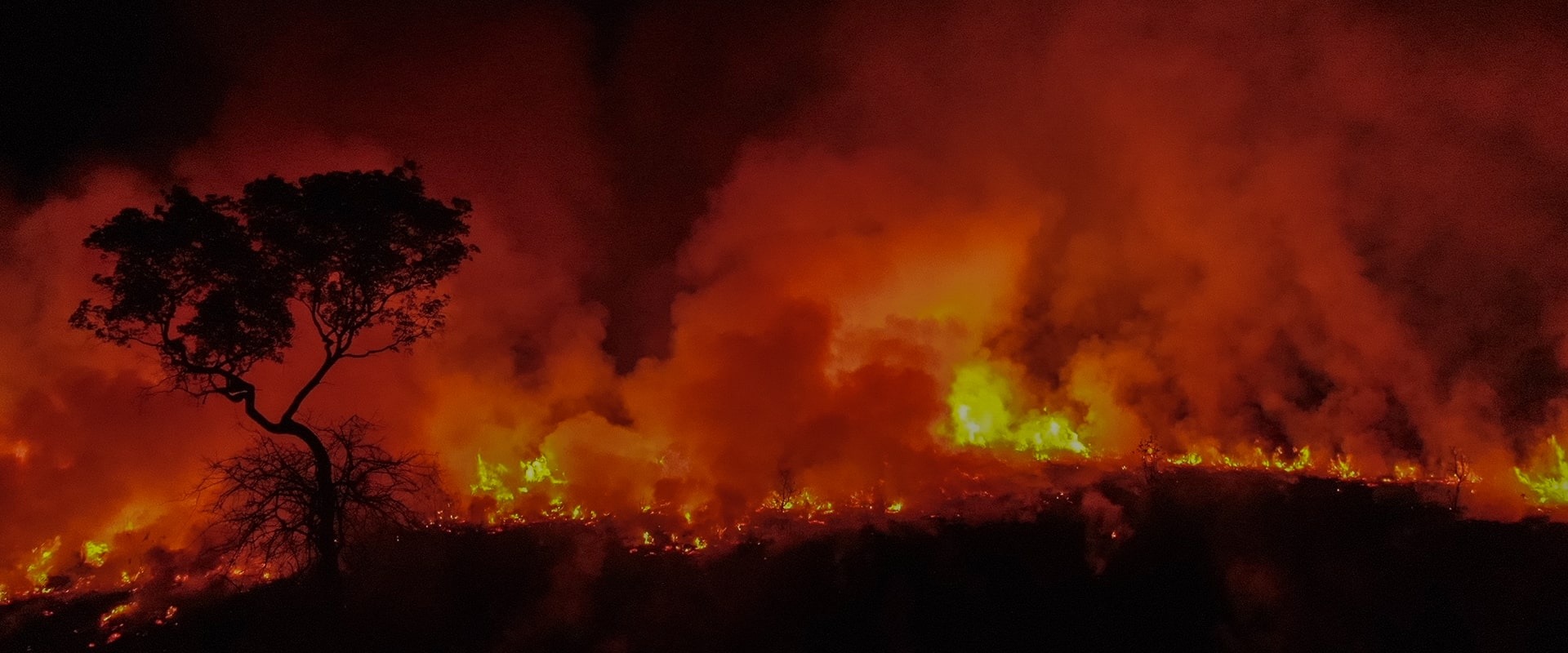 Fires are burning the wetlands of the Pantanal, by Araquem Alcantara