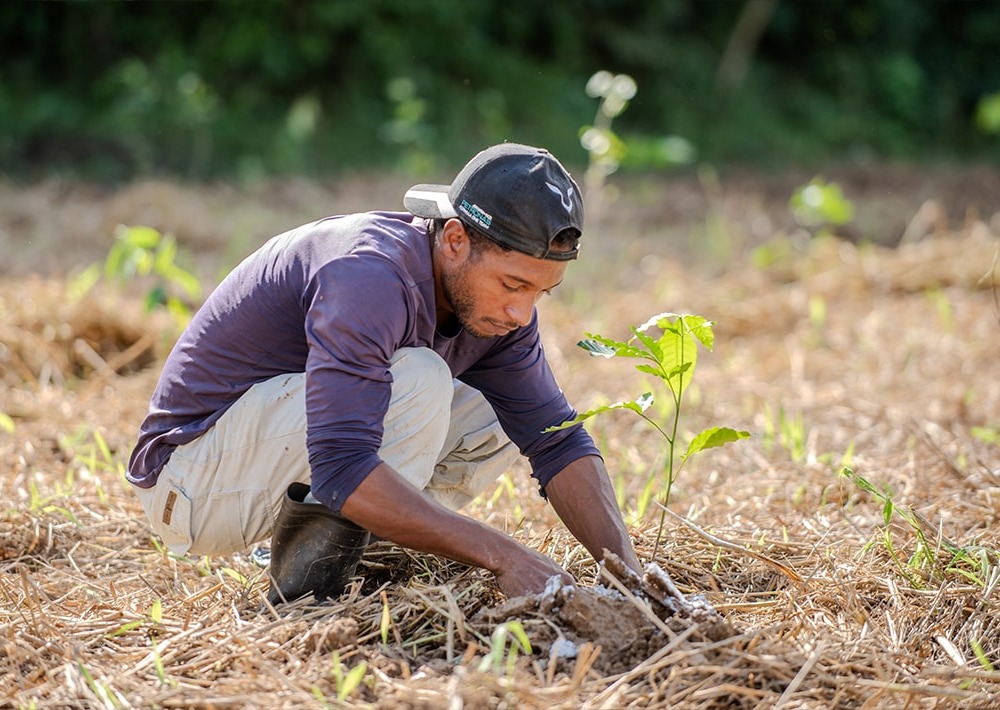 Reforestation efforts, photo courtesy of partner AMLD