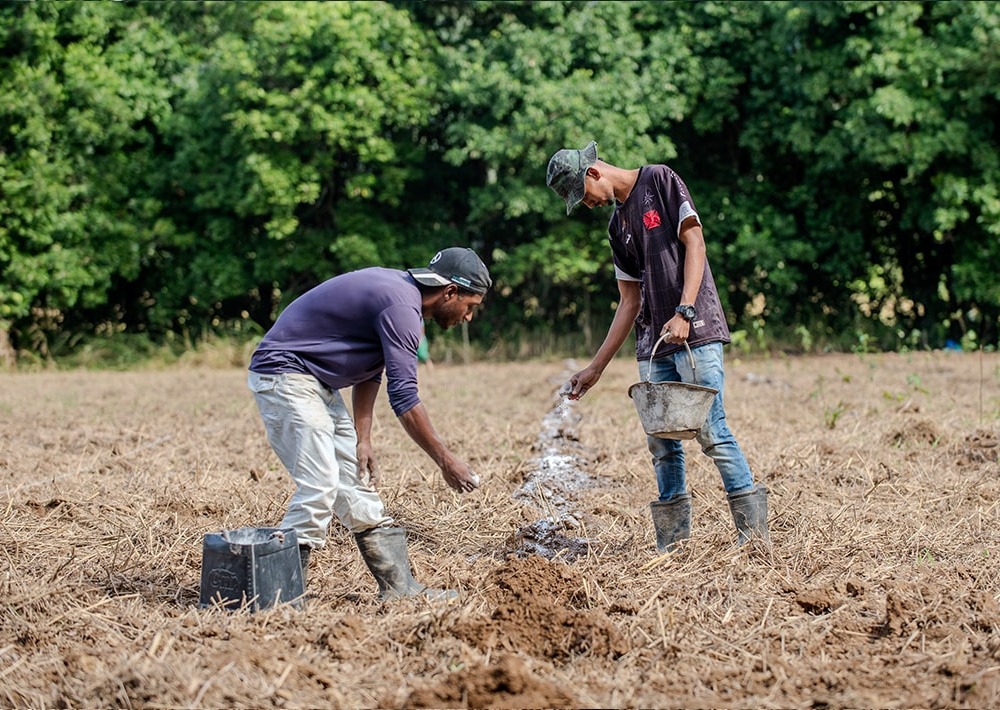 Reforestation efforts, photo courtesy of partner AMLD