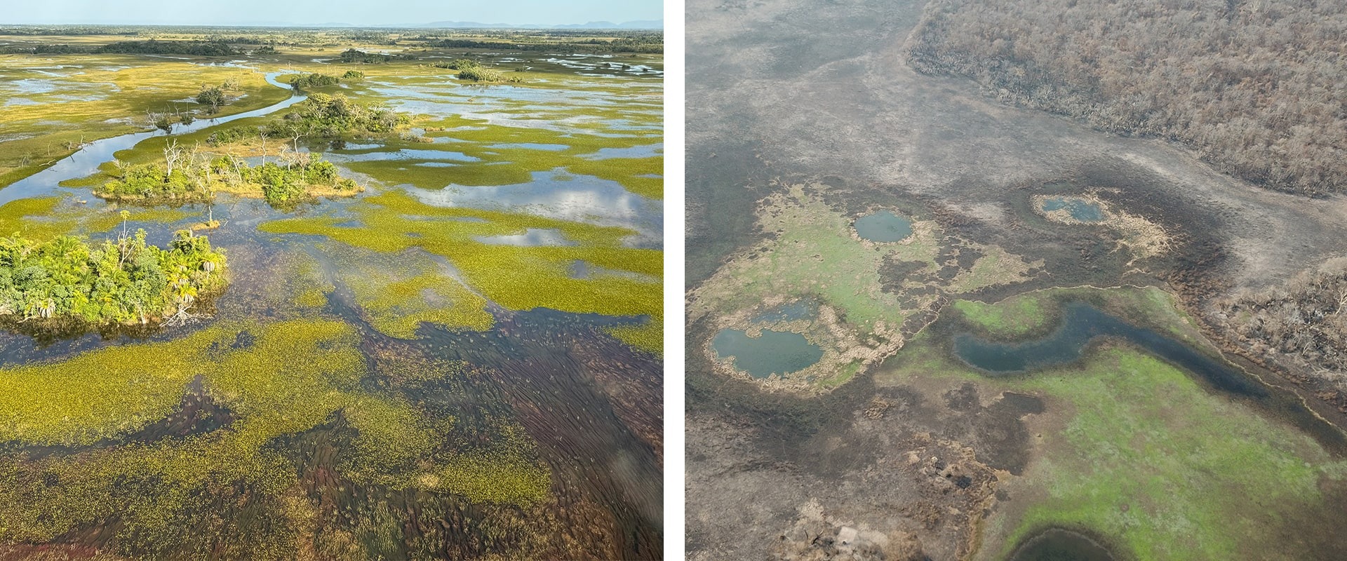 Despite its size and inherently wet nature, the Pantanal is not invulnerable to fire risk. Since January, more than 3 million acres have burned, and the fires continue. Photos courtesy Onçafari