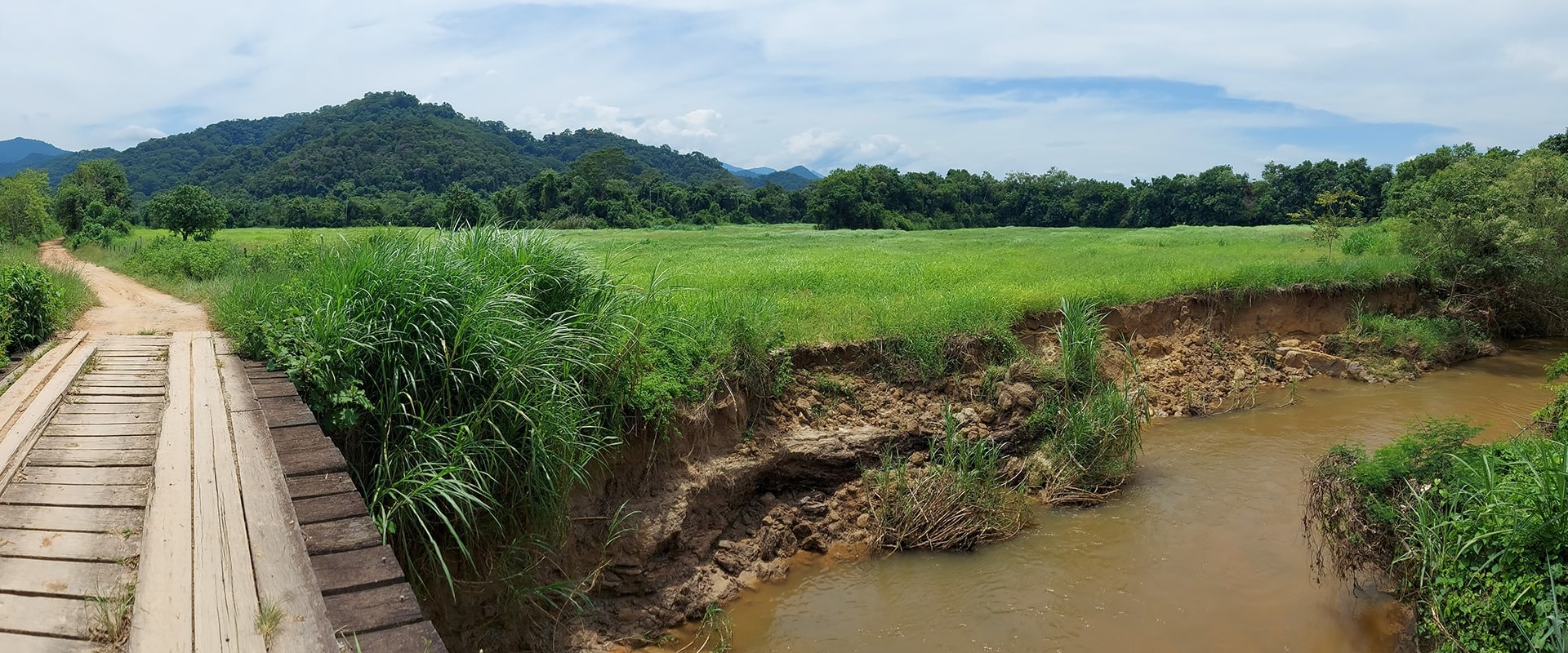 The Santo Antônio Farm is located in the Gaviões district in Silva Jardim and covers 103 hectares, situated in the middle of the Patis Valley, courtesy of partner AMLD