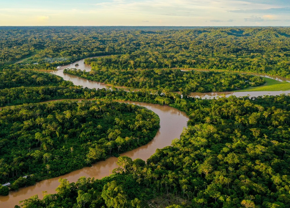 Amazon Rainforest, by Panga Media