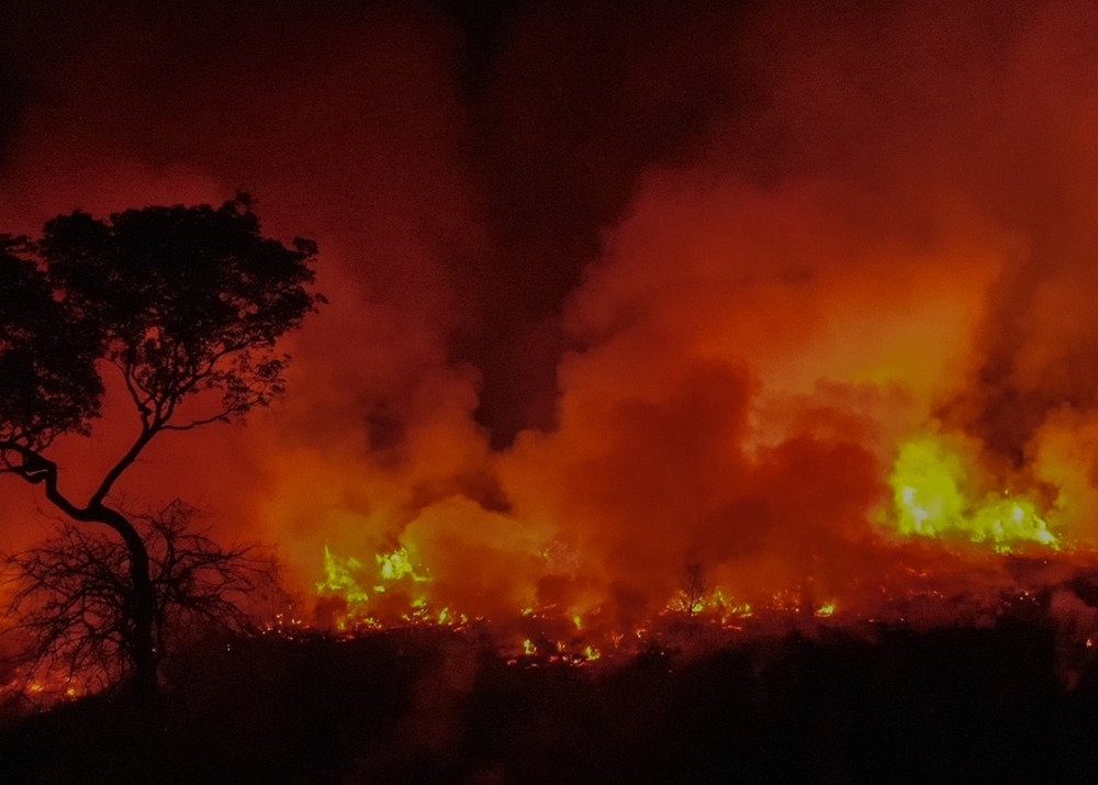 Fires are burning the wetlands of the Pantanal, by Araquem Alcantara