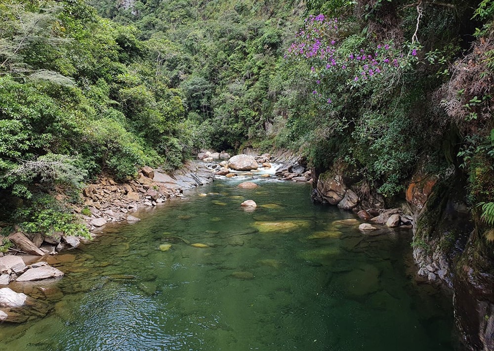 A pristine creek in the project landscape, courtesy partner and Gabriela Villanueva