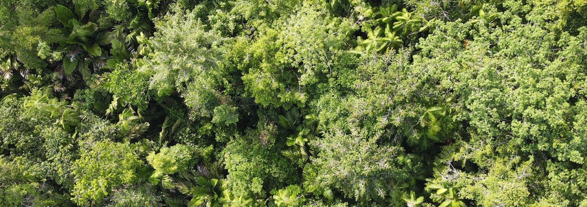 Landscape photo of the project landscape, by WCS-Colombia