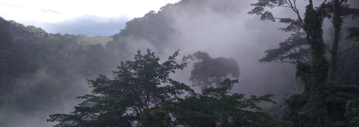 Mount Manengouba, Cameroon, by Junior Verges